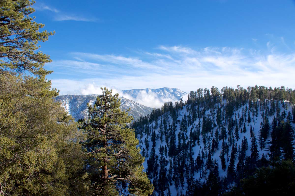 Mountain Info Reserve Big Bear