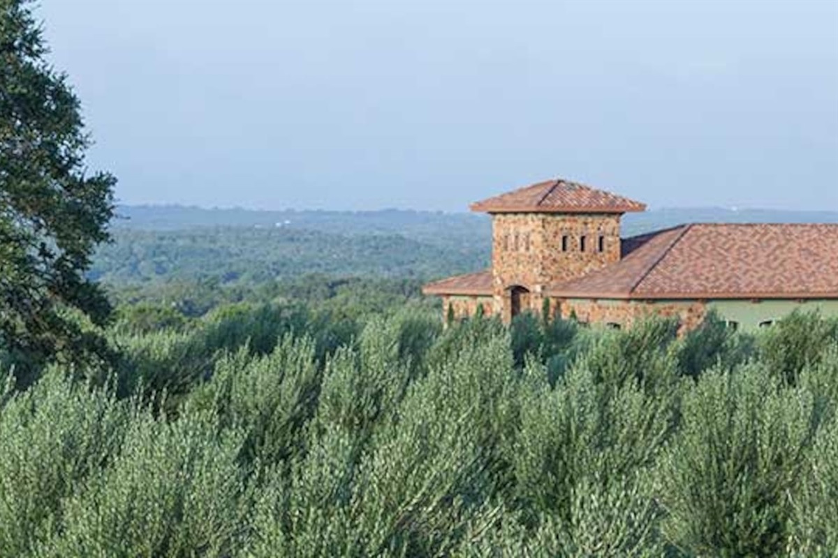 Texas Hill Country Olive Co - 8 miles away